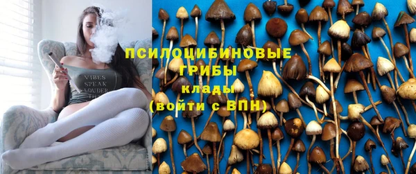 гидропоника Нефтекумск