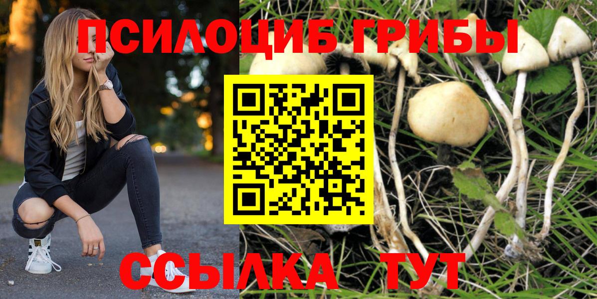 Галлюциногенные грибы Cubensis  Галлюциногенные грибы ЛСД  Вход с VPN  Прохладный 