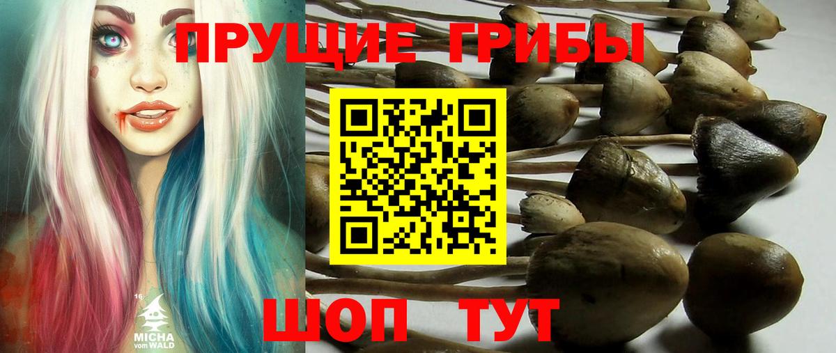 МАРИХУАНА Прохладный