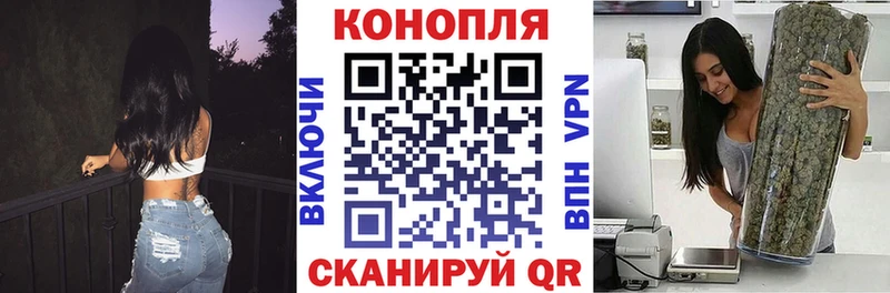 наркошоп  Прохладный  МАРИХУАНА ГИДРОПОН 
